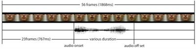 Incongruent visual cues affect the perception of Mandarin vowel but not tone